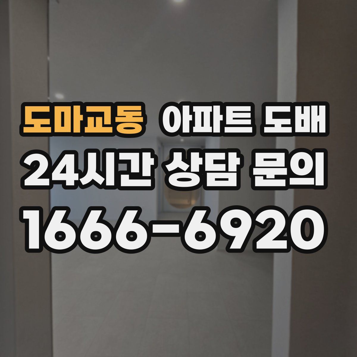 도마교동 아파트 도배
