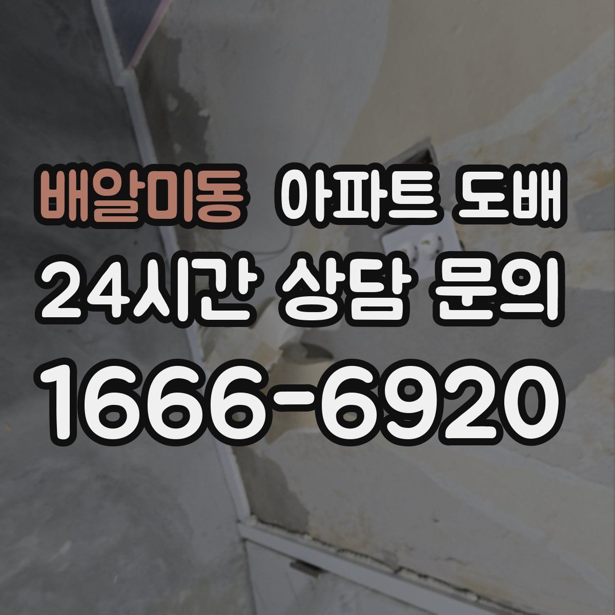 배알미동 아파트 도배