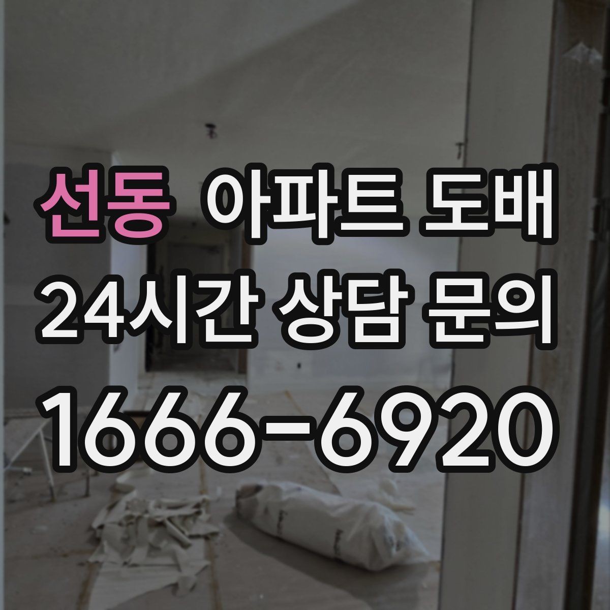선동 아파트 도배 새집과 이사 전후 시점 비교