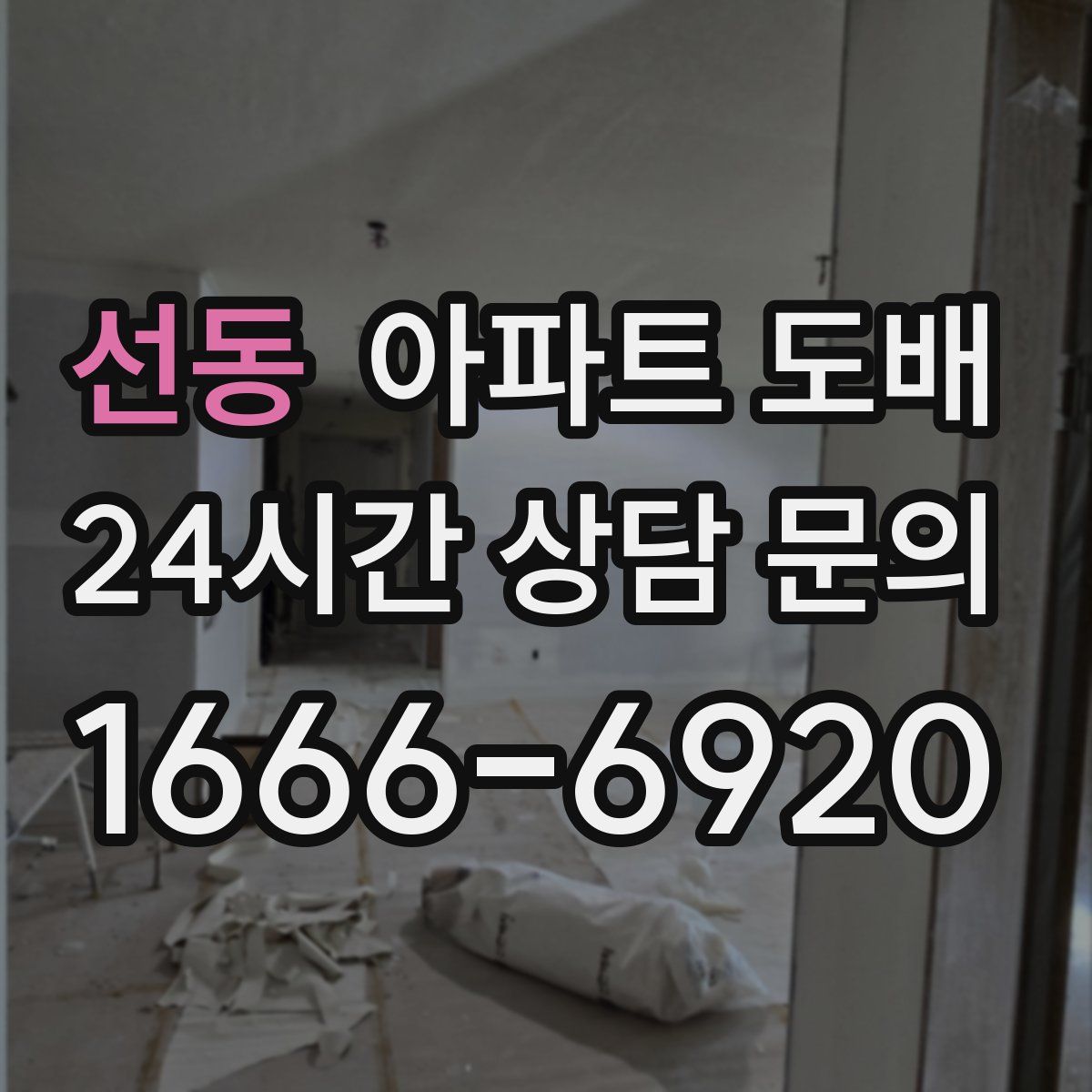 선동 아파트 도배