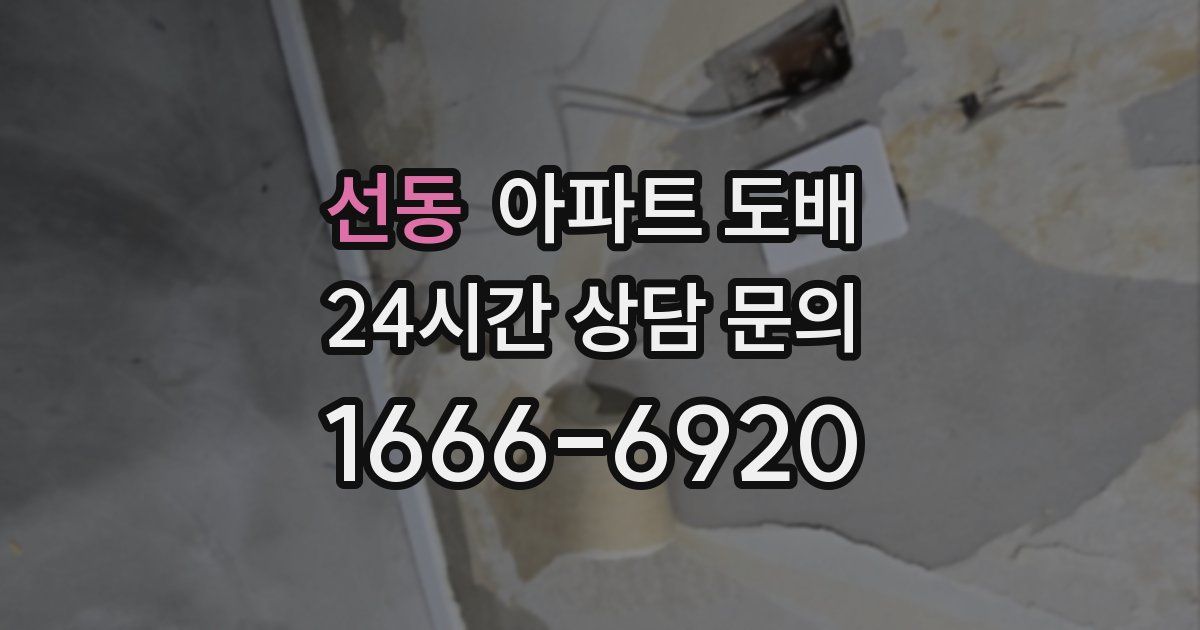선동 아파트 도배