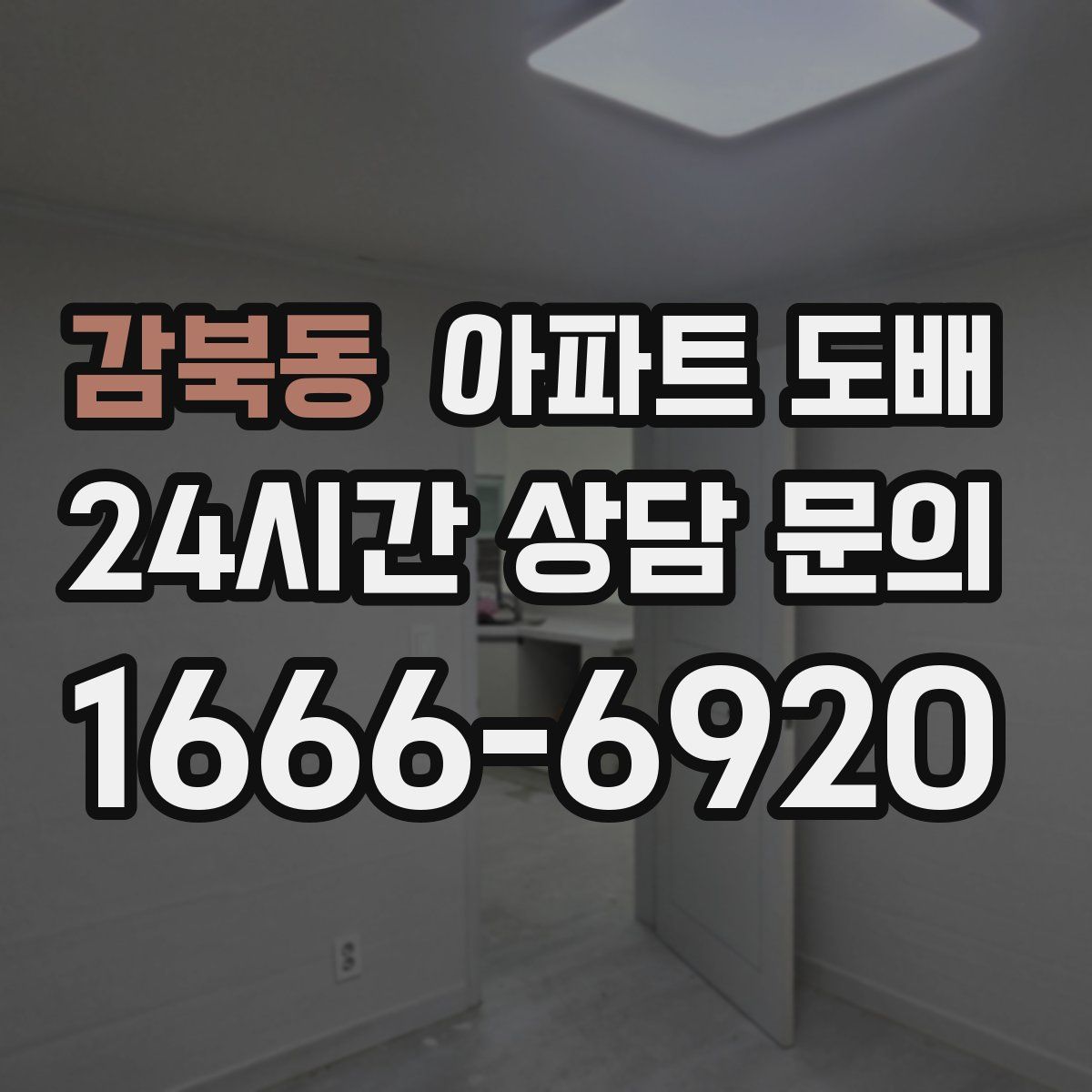 감북동 아파트 도배