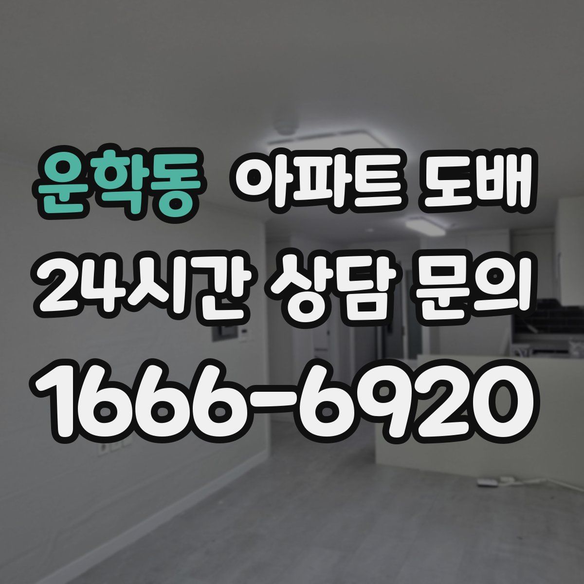 운학동 아파트 도배