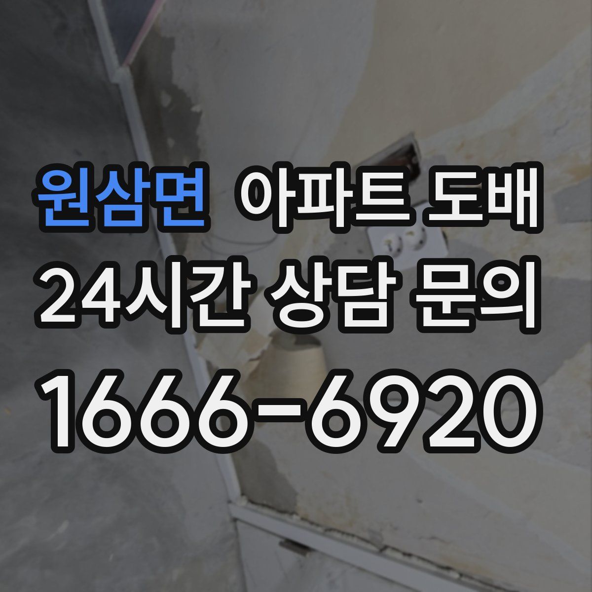원삼면 아파트 도배
