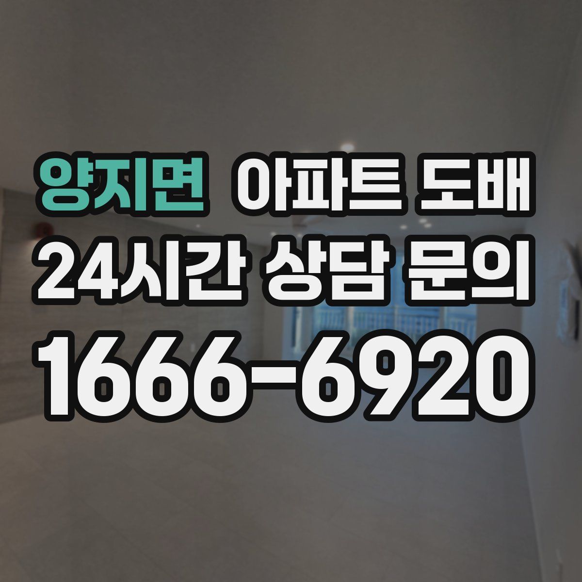 양지면 아파트 도배