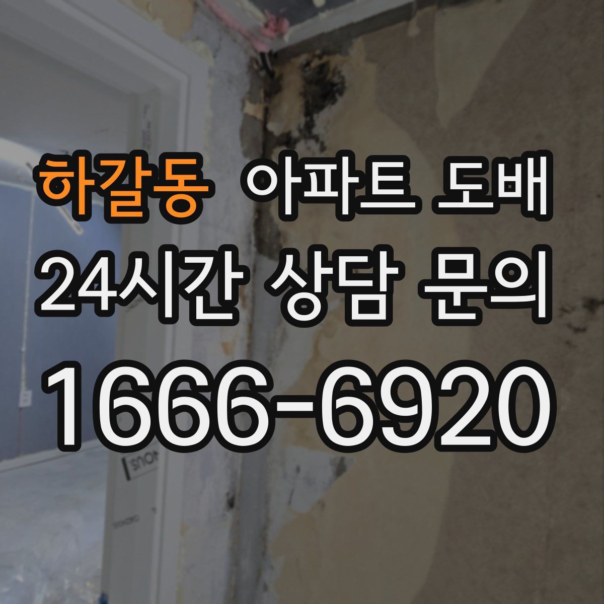 하갈동 아파트 도배