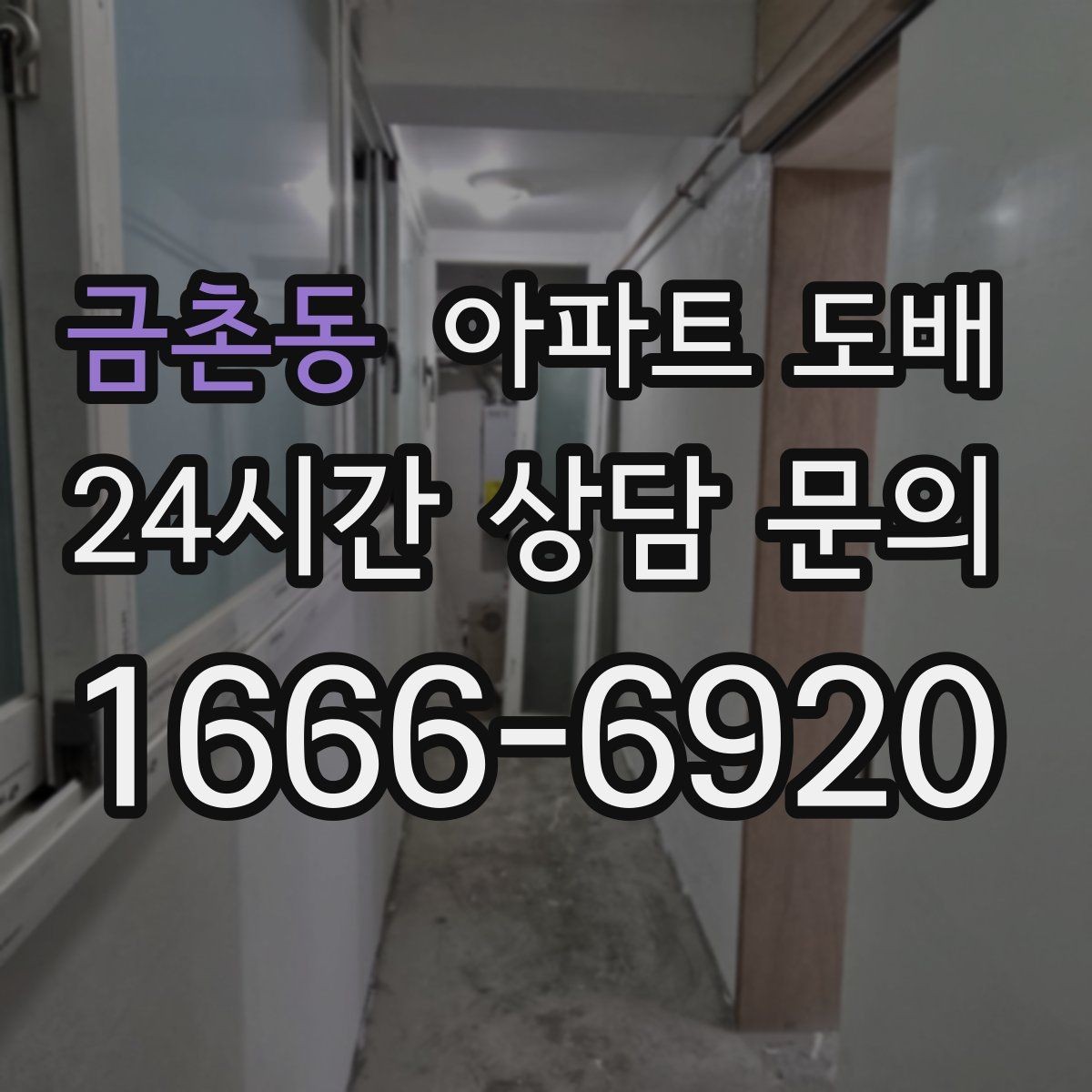 금촌동 아파트 도배 실크벽지 선택 시 고려할 점