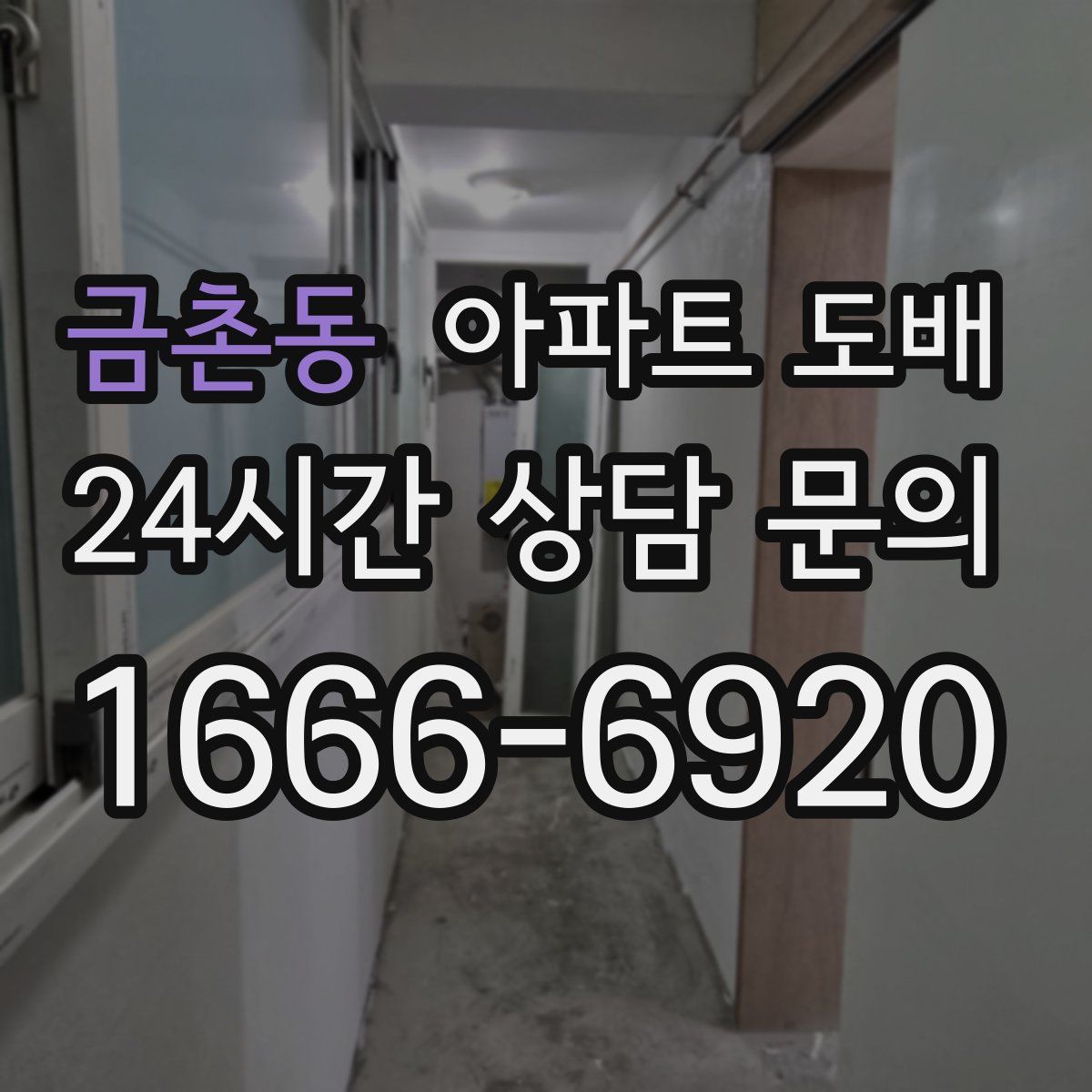 금촌동 아파트 도배