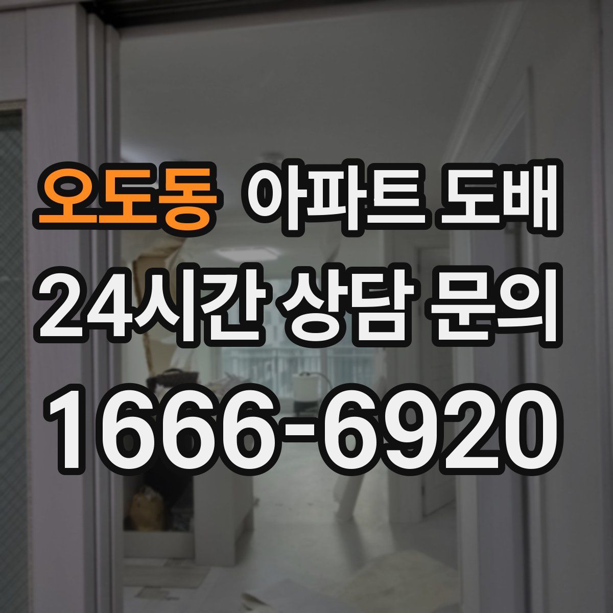 오도동 아파트 도배