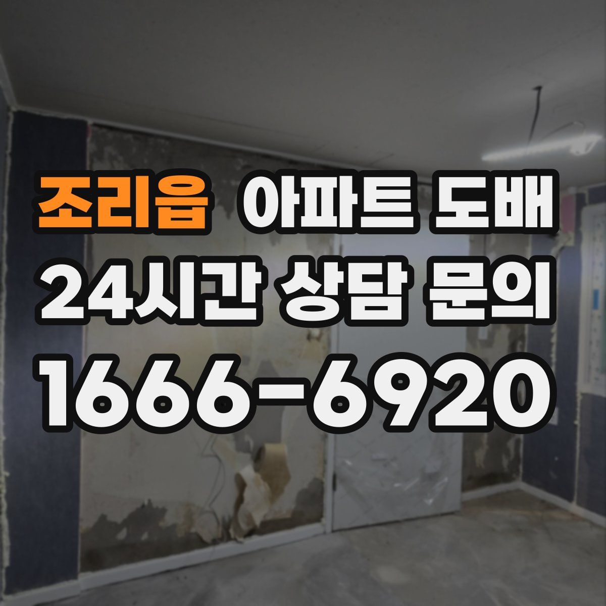 조리읍 아파트 도배