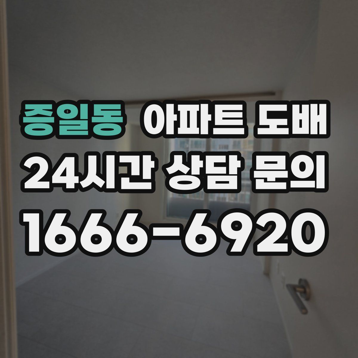 증일동 아파트 도배