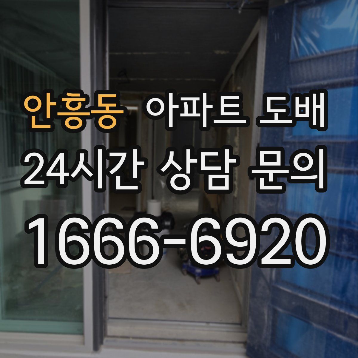 안흥동 아파트 도배