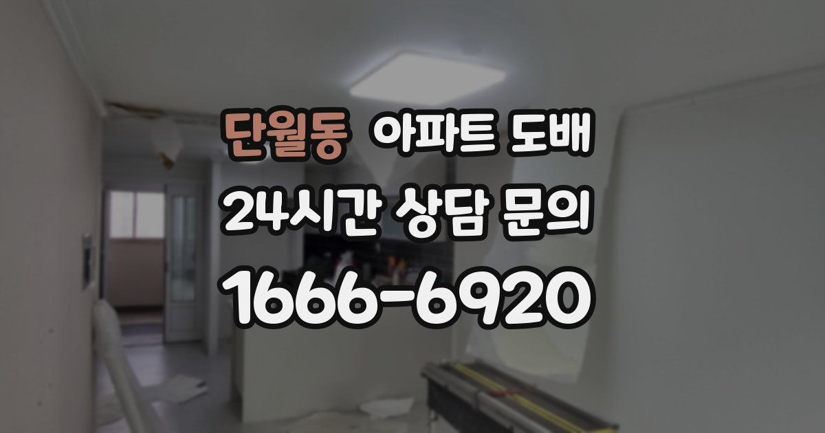 단월동 아파트 도배