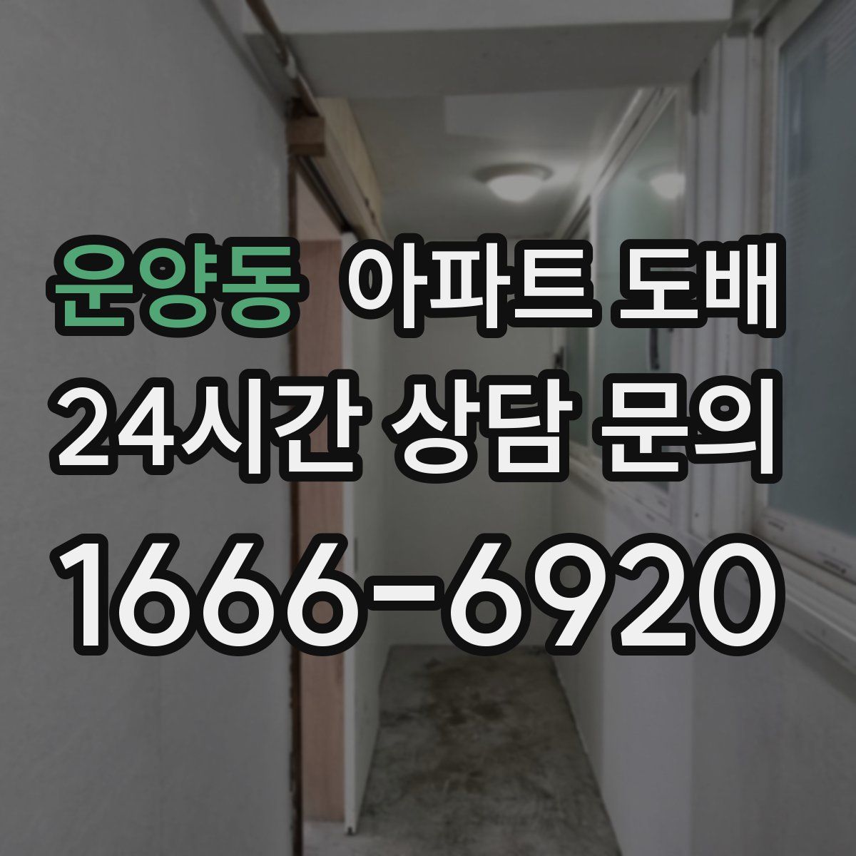 운양동 아파트 도배