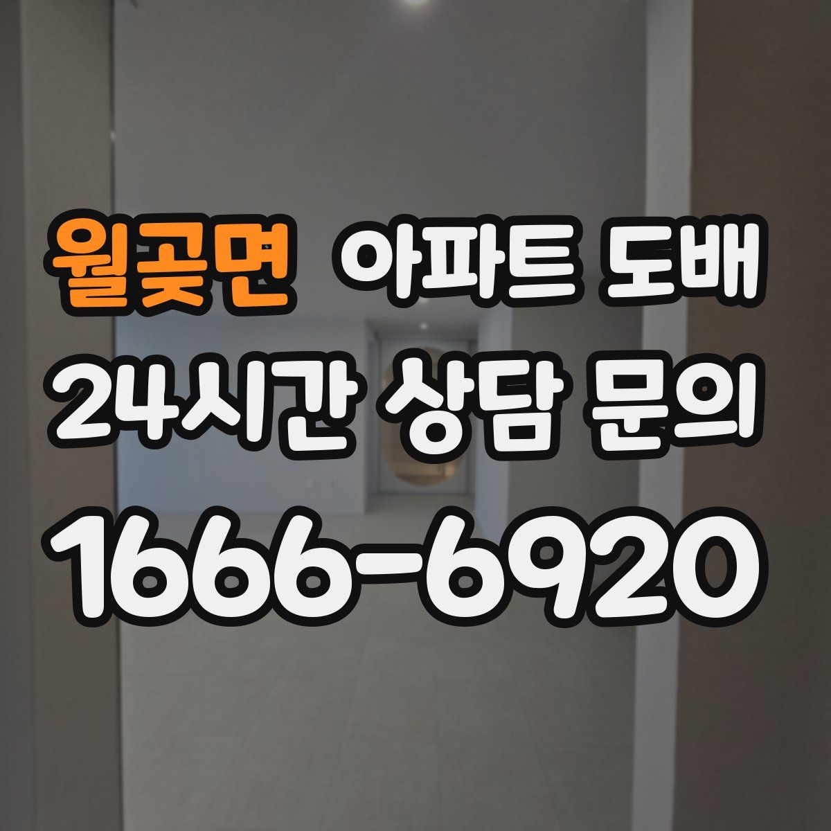 월곶면 아파트 도배