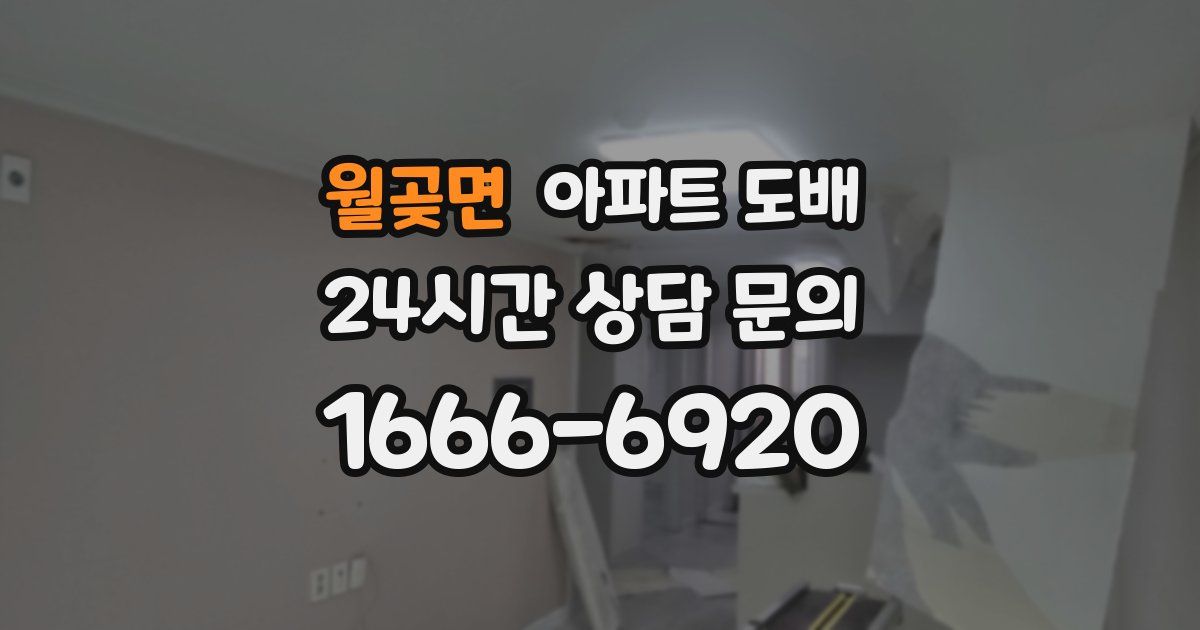 월곶면 아파트 도배