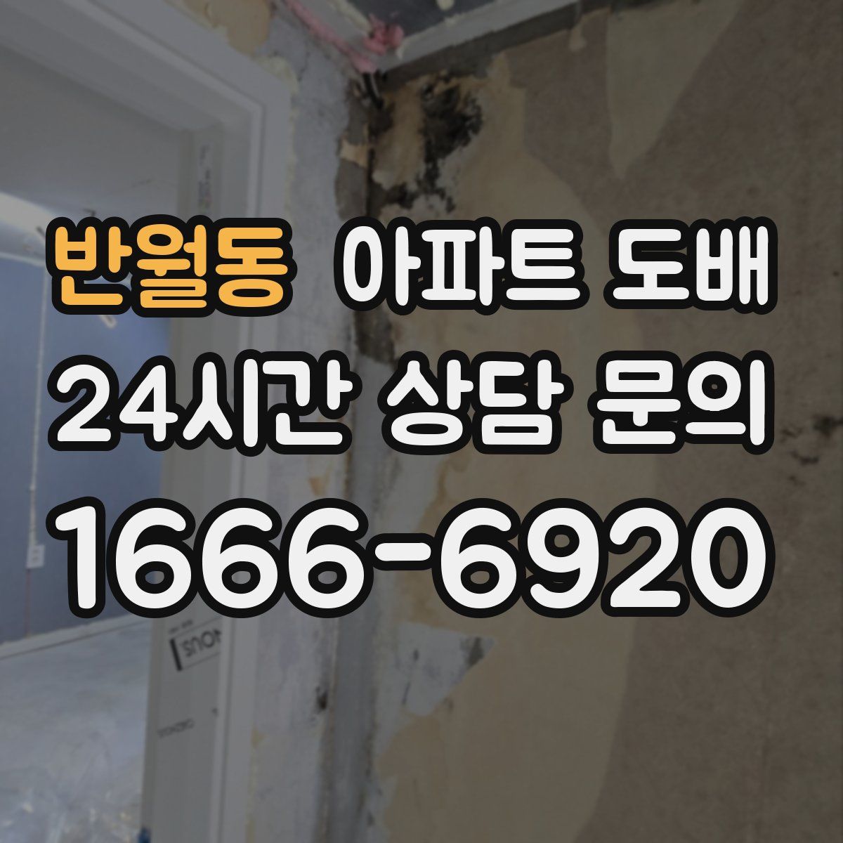 반월동 아파트 도배