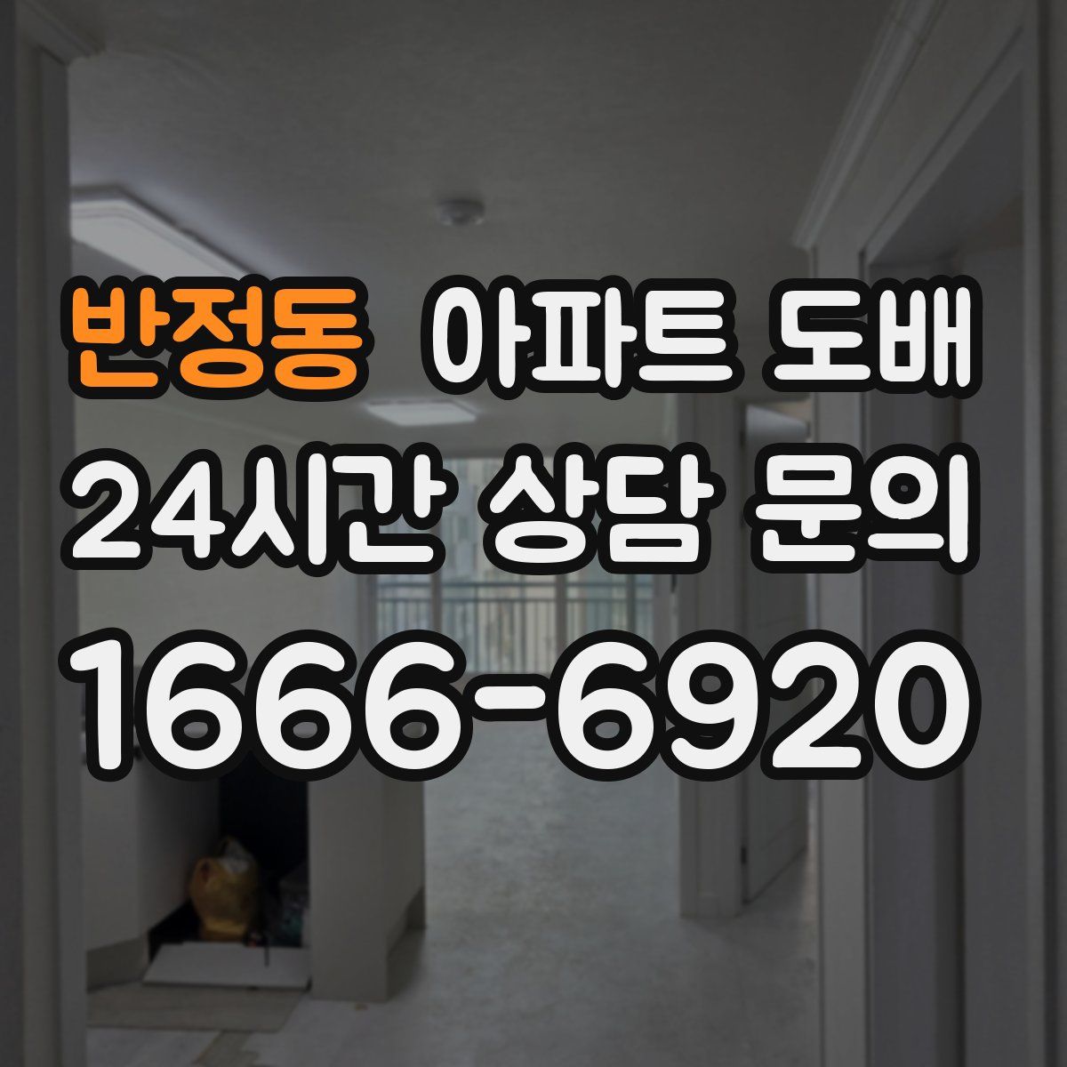 반정동 아파트 도배