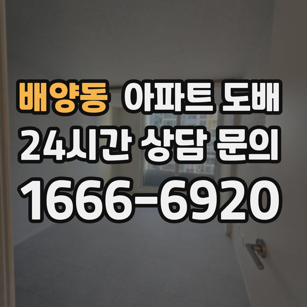 배양동 아파트 도배