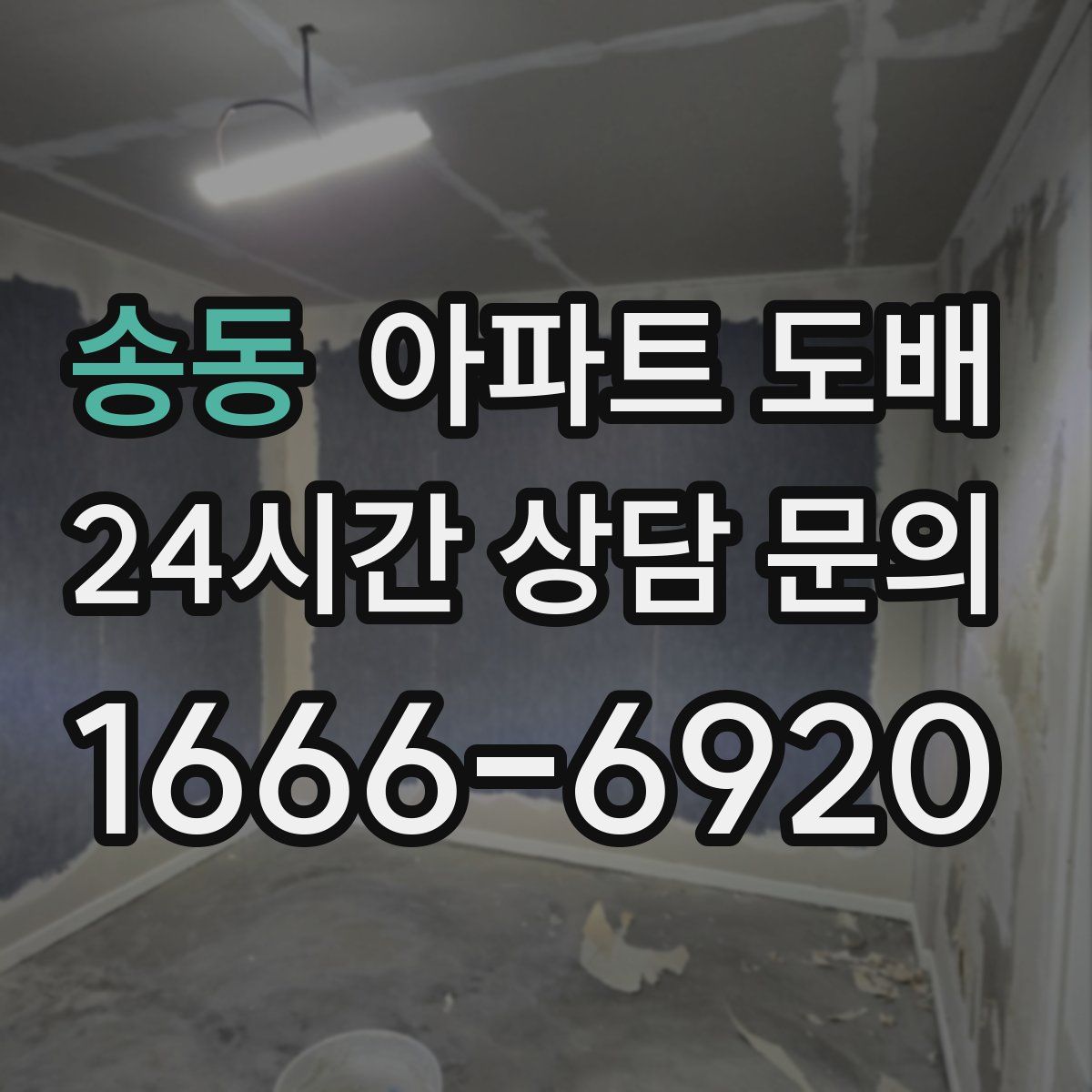 송동 아파트 도배