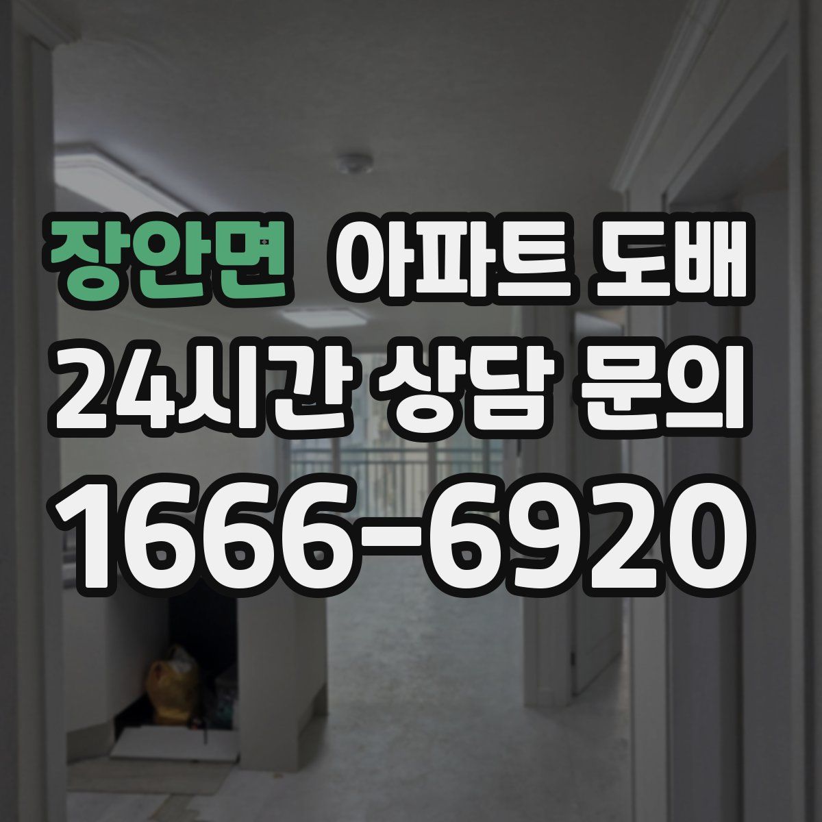 장안면 아파트 도배