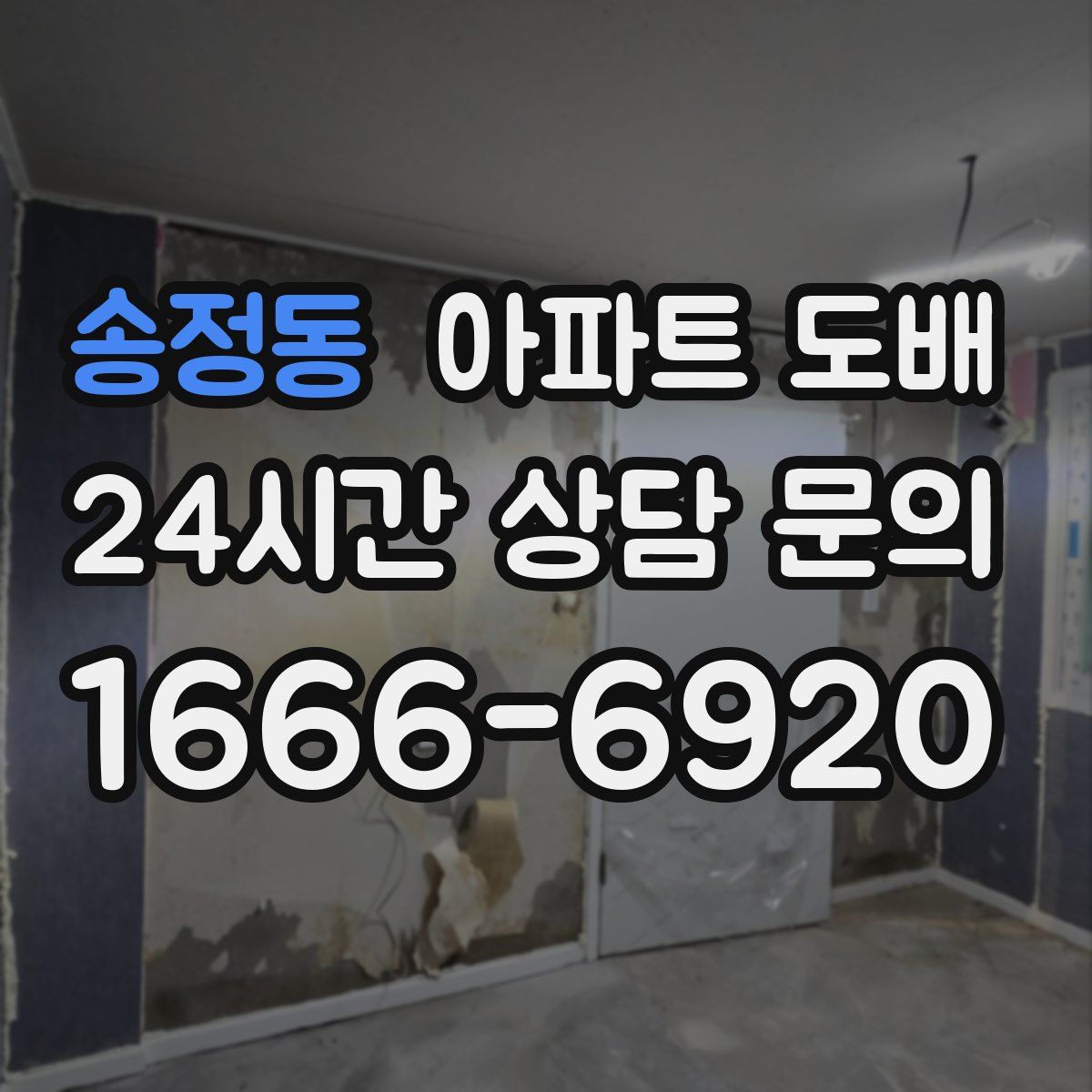 송정동 아파트 도배