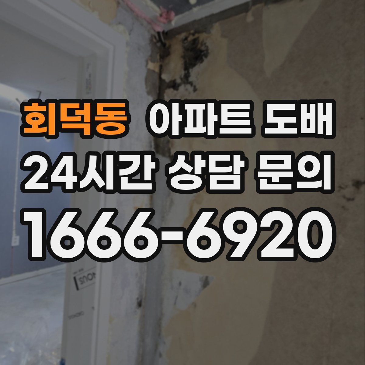 회덕동 아파트 도배