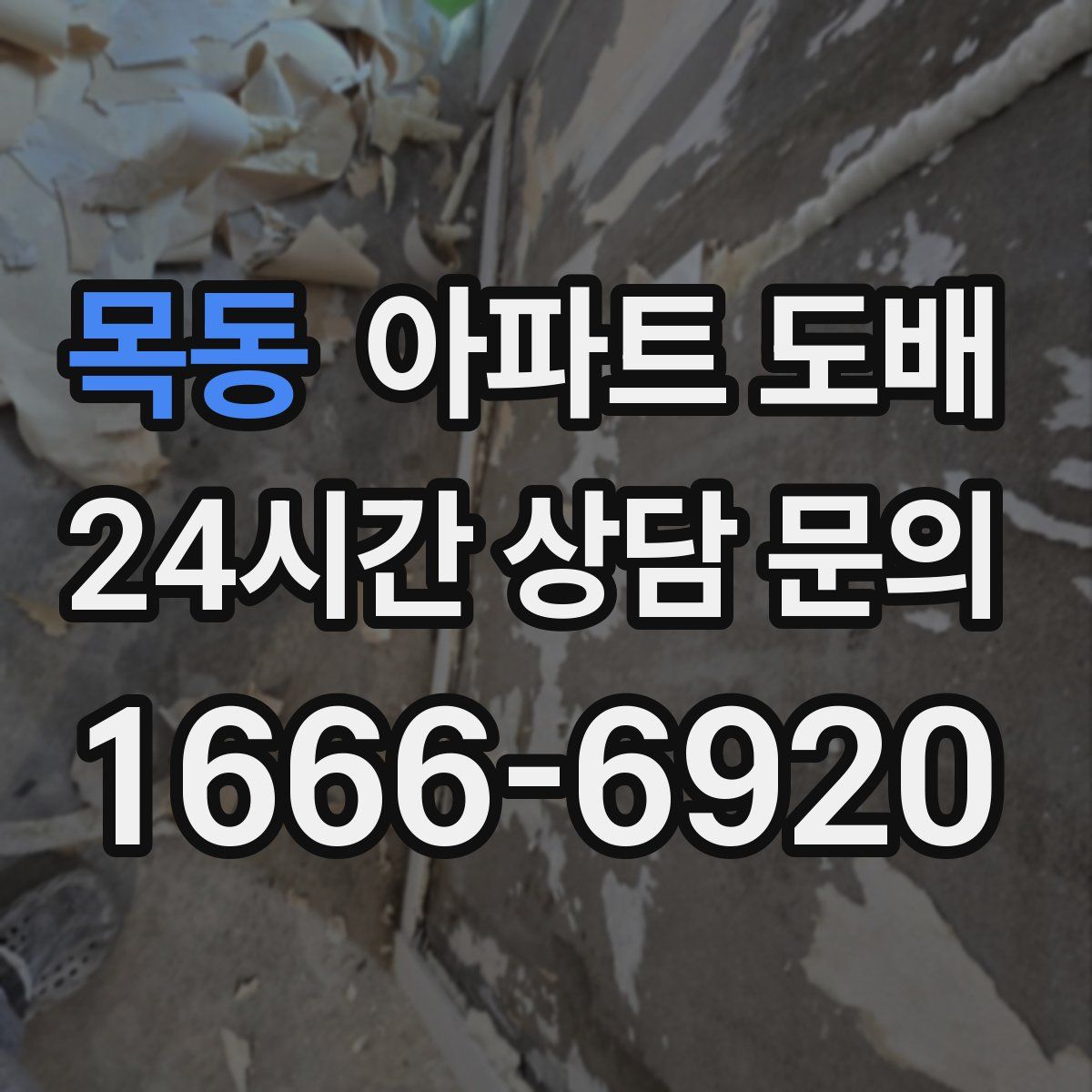 목동 아파트 도배
