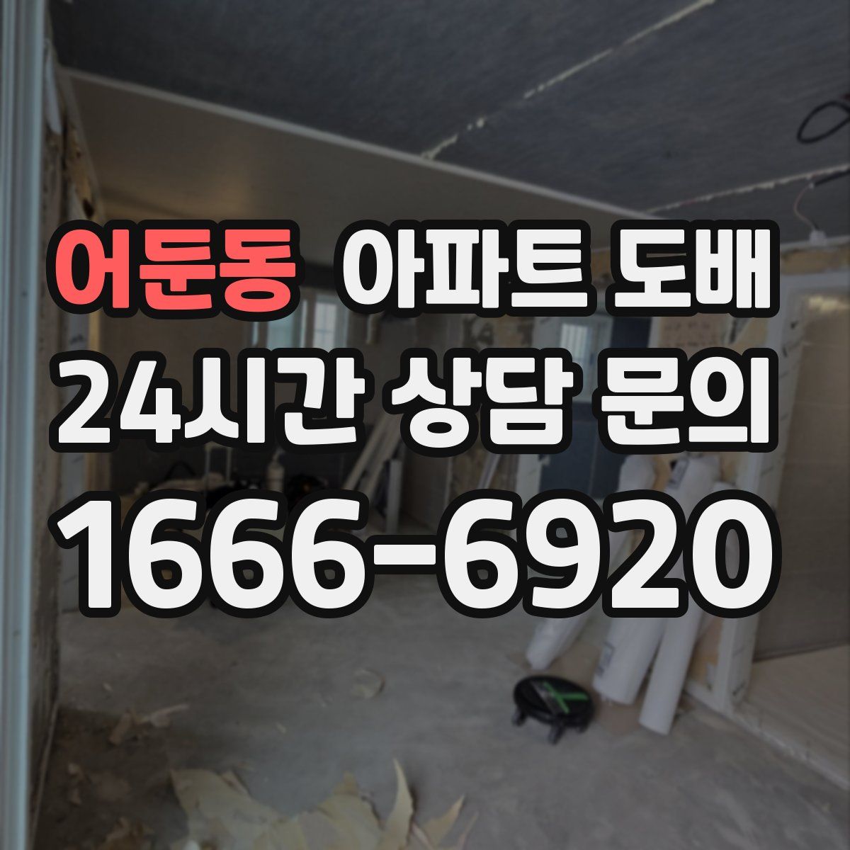 어둔동 아파트 도배