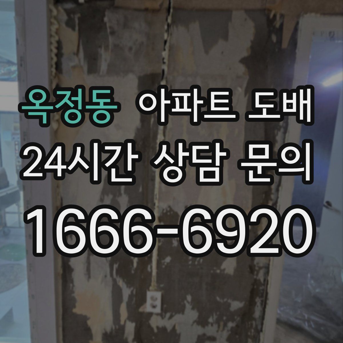 옥정동 아파트 도배
