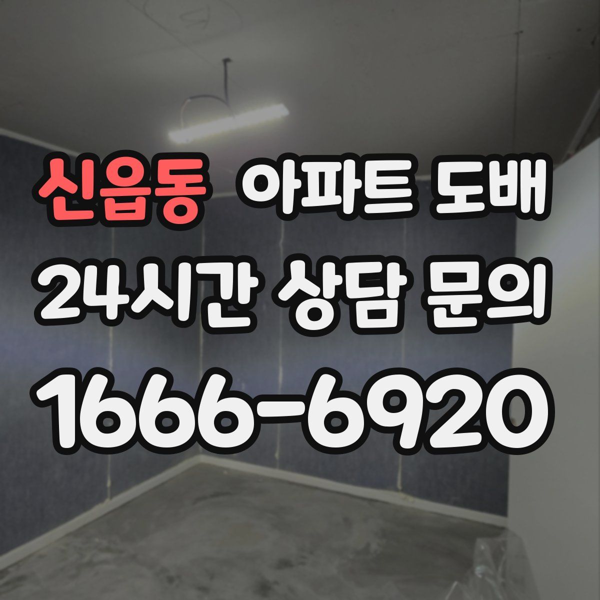 신읍동 아파트 도배