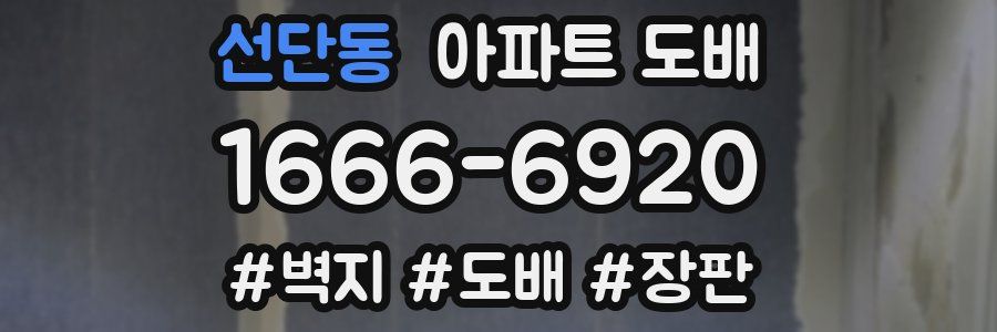 선단동 아파트 도배