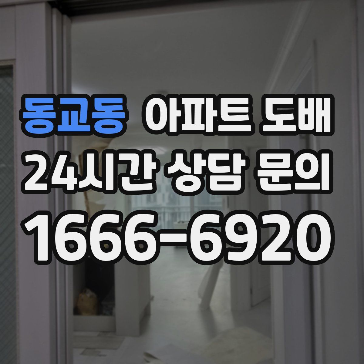 동교동 아파트 도배