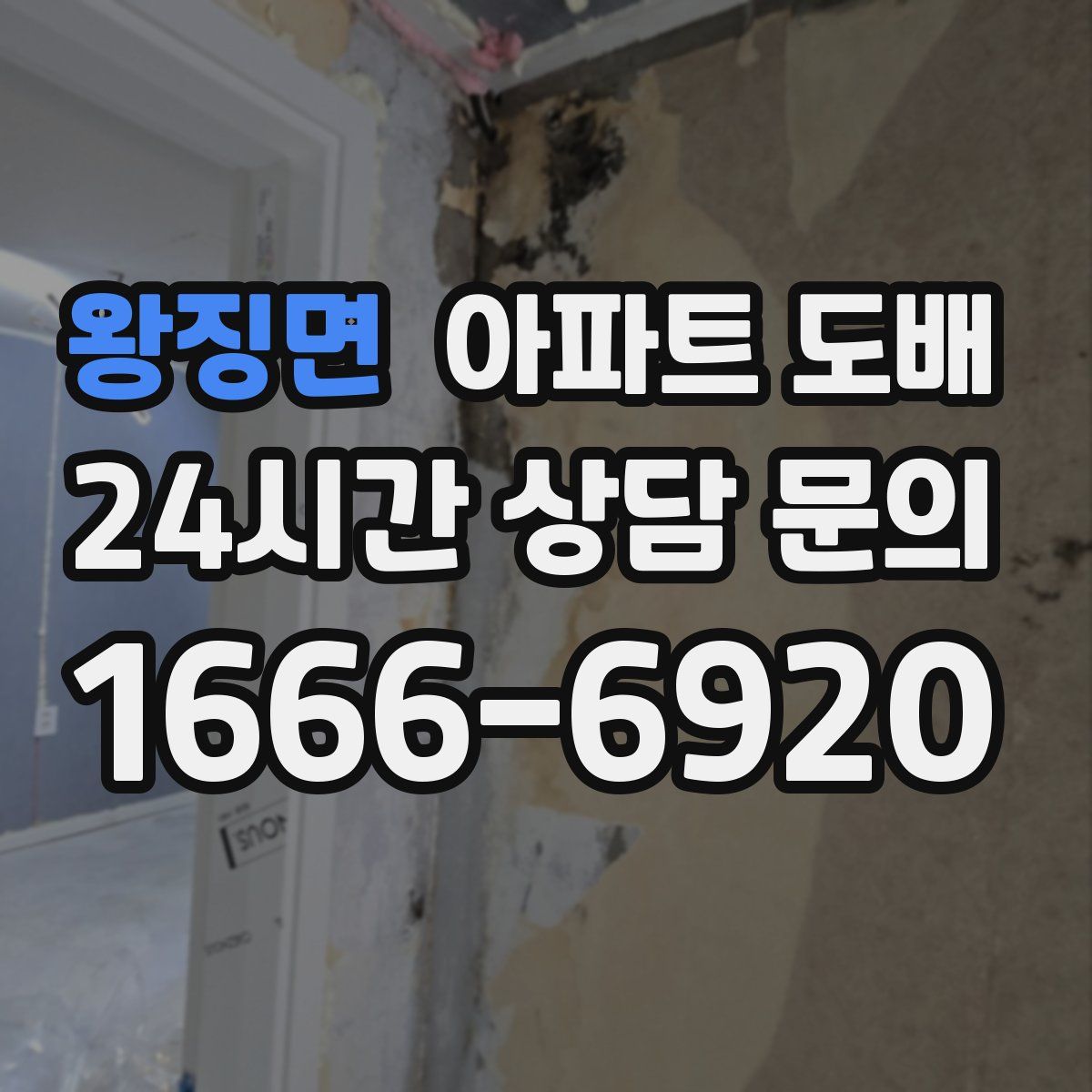 왕징면 아파트 도배