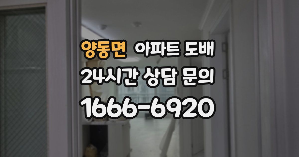 양동면 아파트 도배