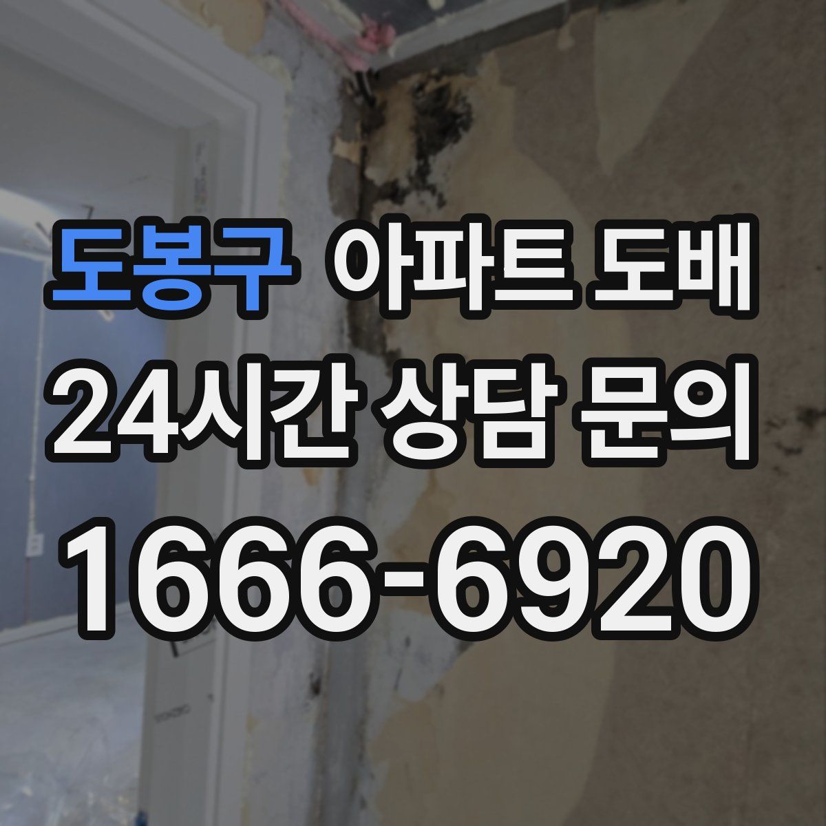 도봉구 아파트 도배