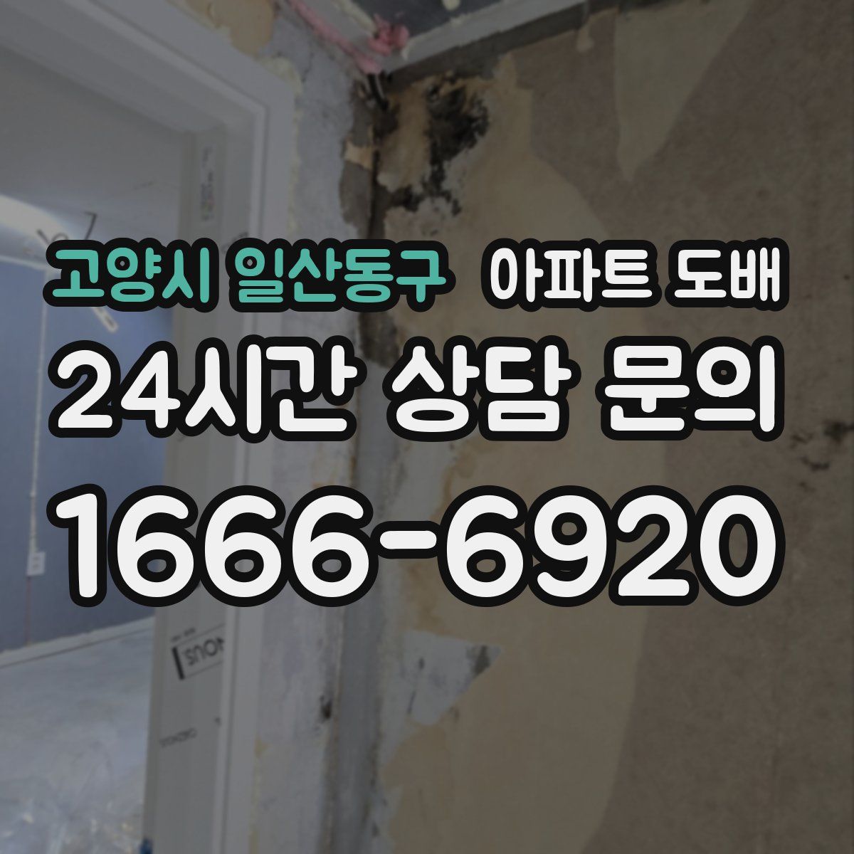 고양시 일산동구 아파트 도배