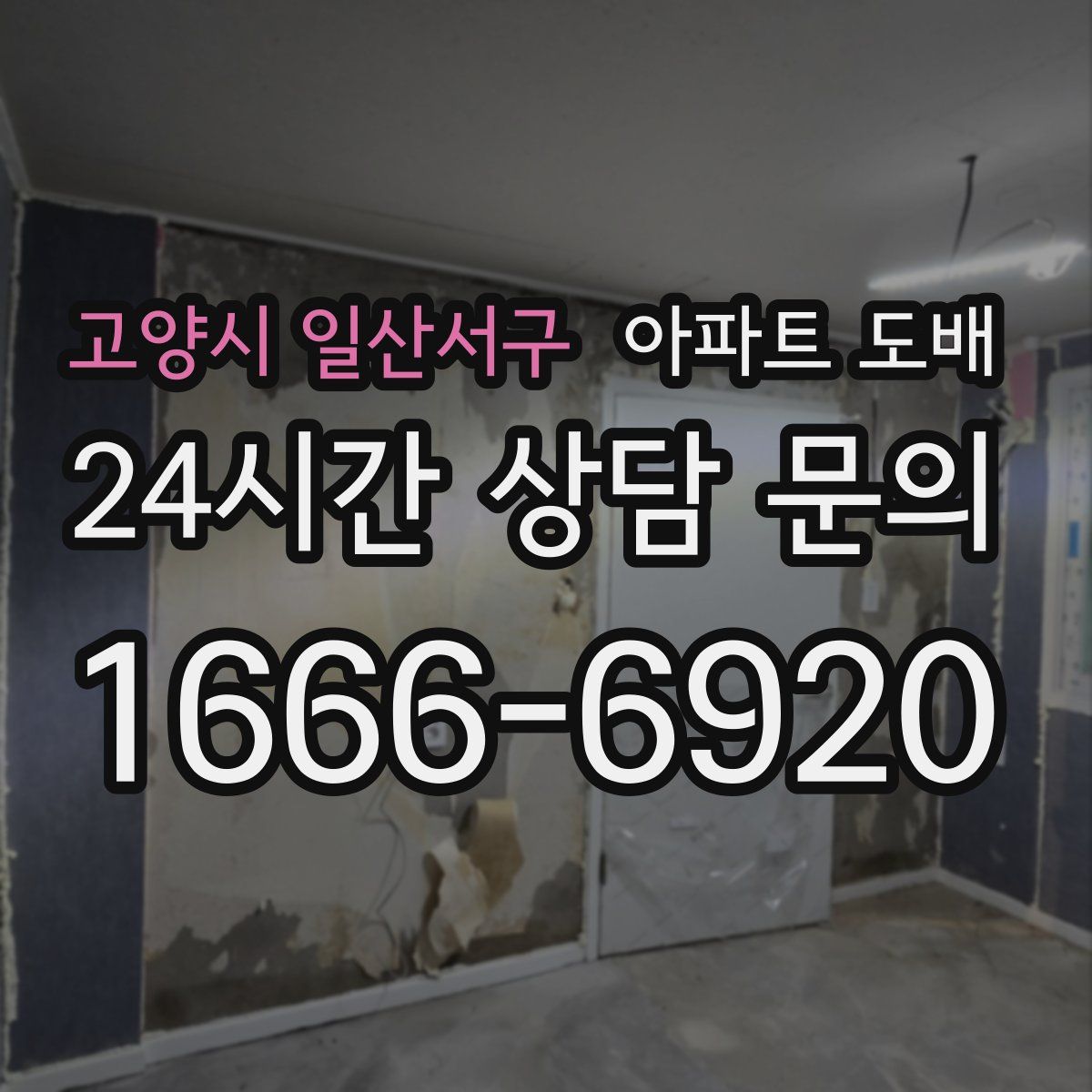고양시 일산서구 아파트 도배