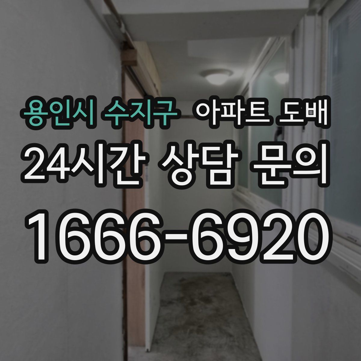 용인시 수지구 아파트 도배