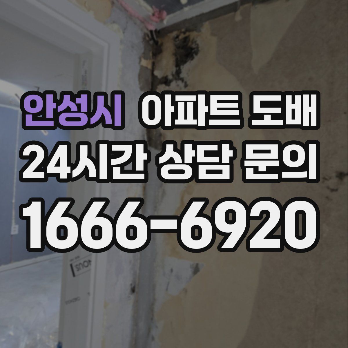안성시 아파트 도배