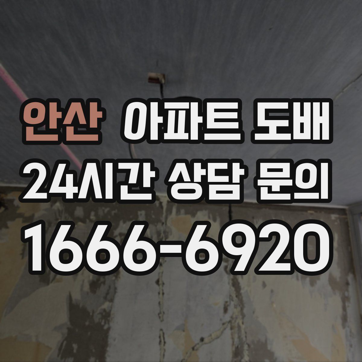 안산 아파트 도배
