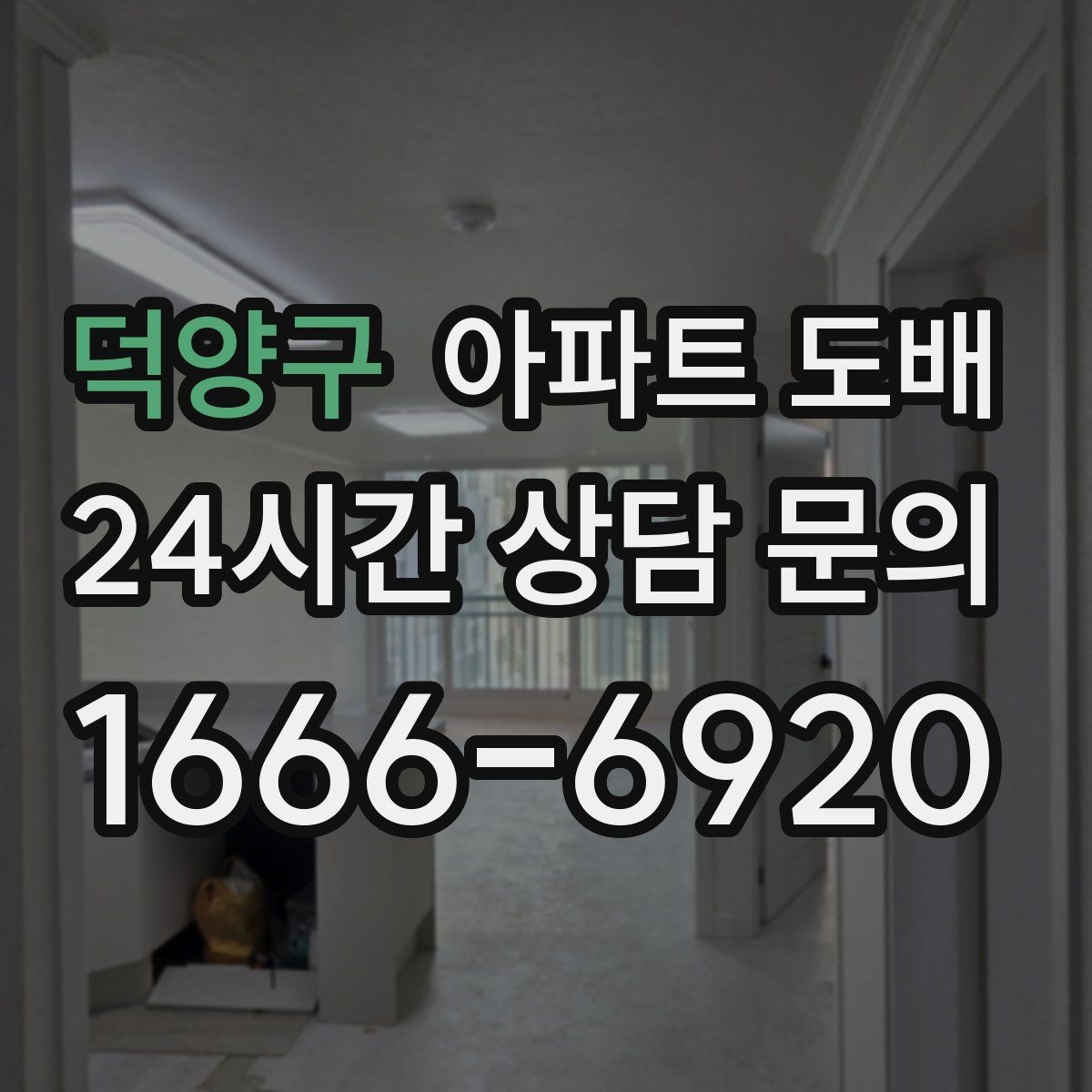 덕양구 아파트 도배 벽지 선택에 따른 분위기 차이