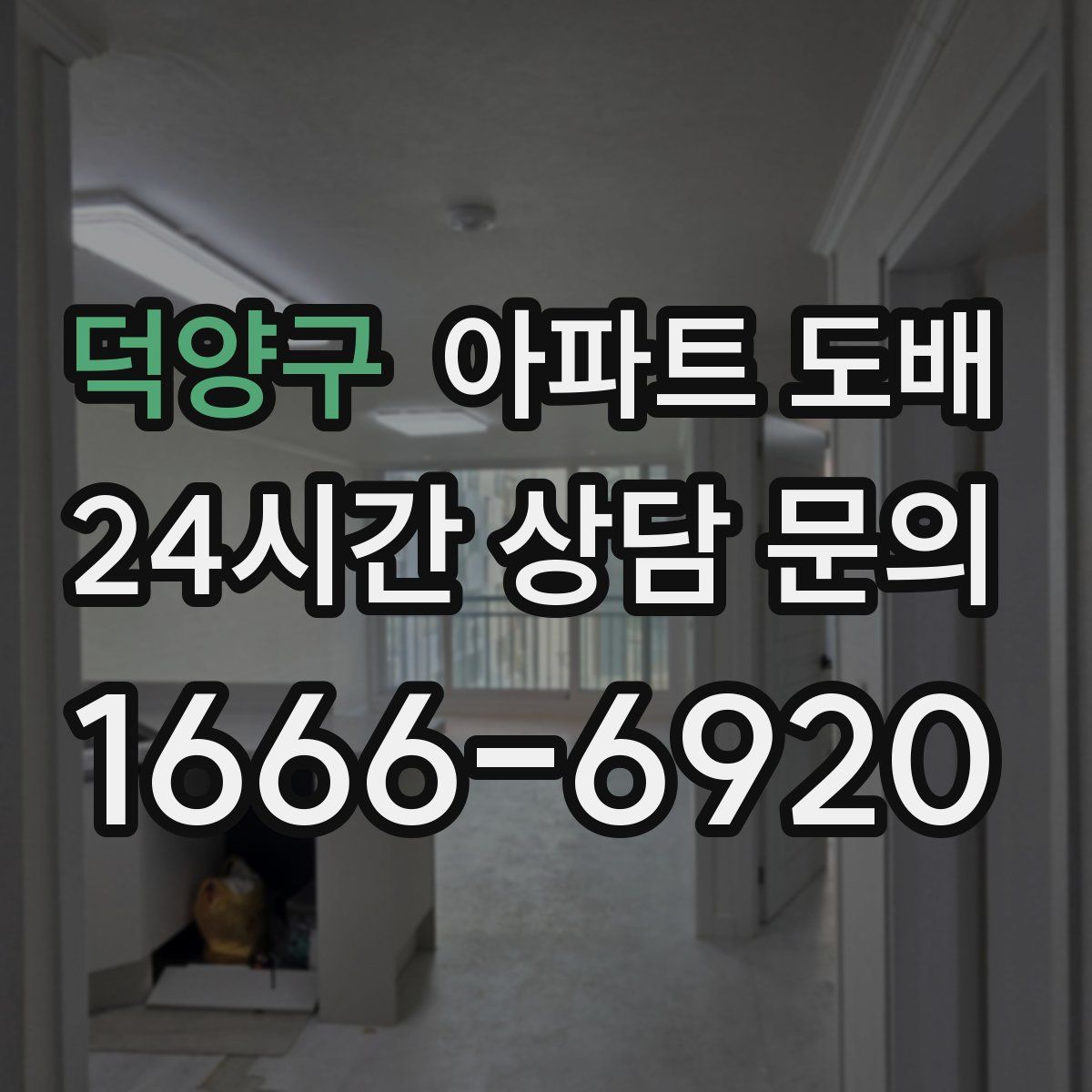 덕양구 아파트 도배