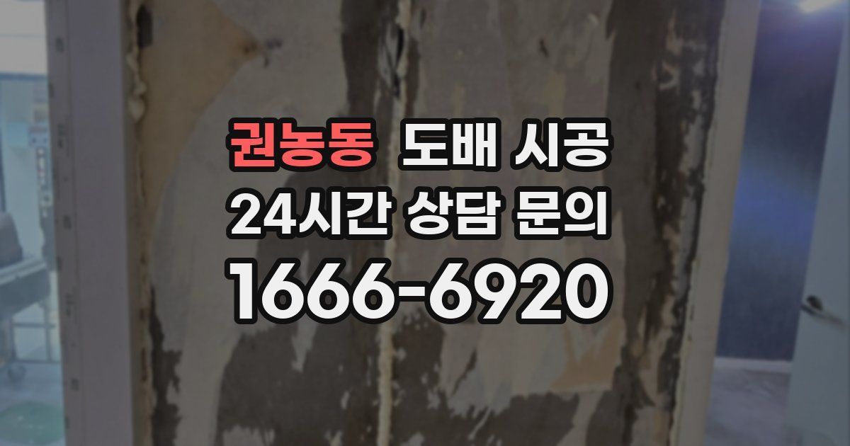 권농동 도배 시공