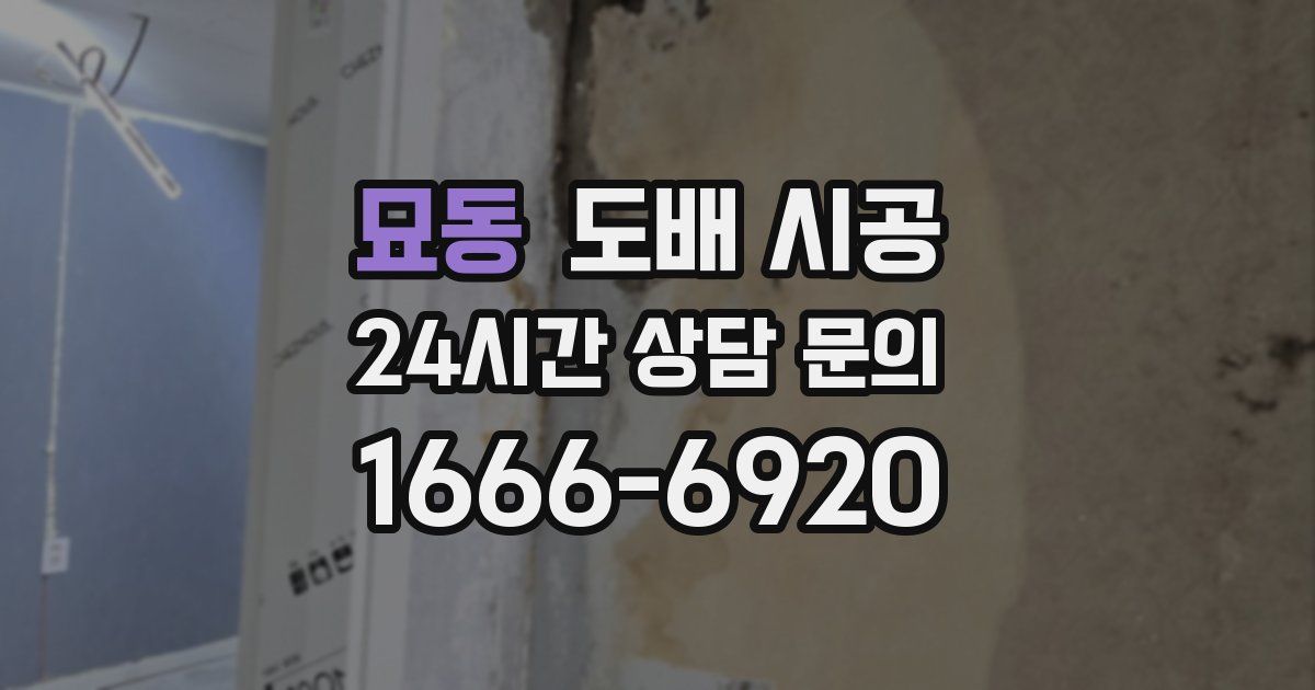 묘동 도배 시공
