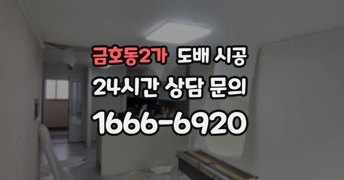 금호동2가 도배 시공