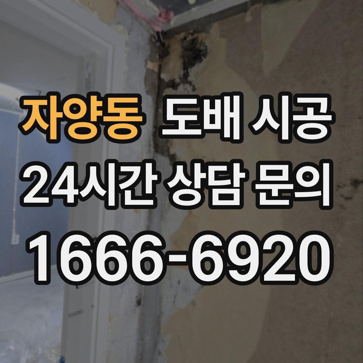 자양동 도배 시공