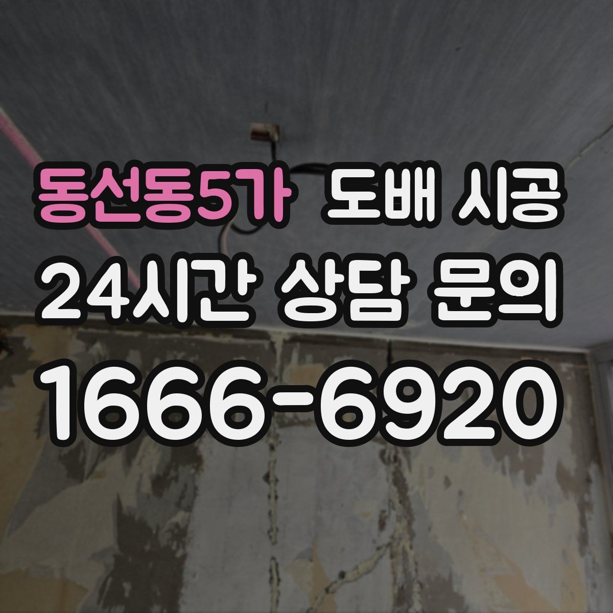 동선동5가 도배 시공