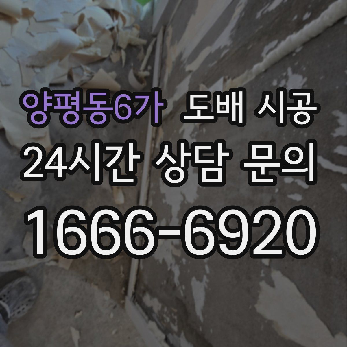 양평동6가 도배 시공