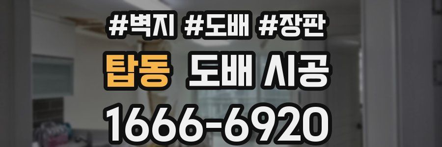 탑동 도배 시공
